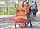 Organ grinder in Place de L'Horloge