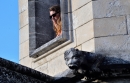 Enjoying the view from Palais des Papes