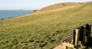 Above Durdle Door